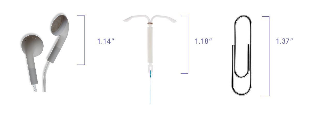 kyleena-size-comparison The size of a paperclip