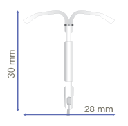 KYLEENA ACTUAL T-BODY SIZE